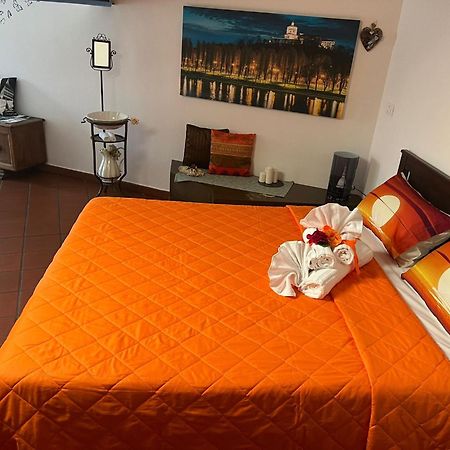 Historic Center Via Po Apartment Torino Dış mekan fotoğraf